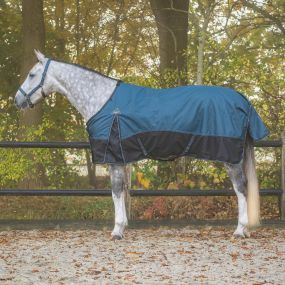 Turnout rug collection 150gr Mystic blue 125